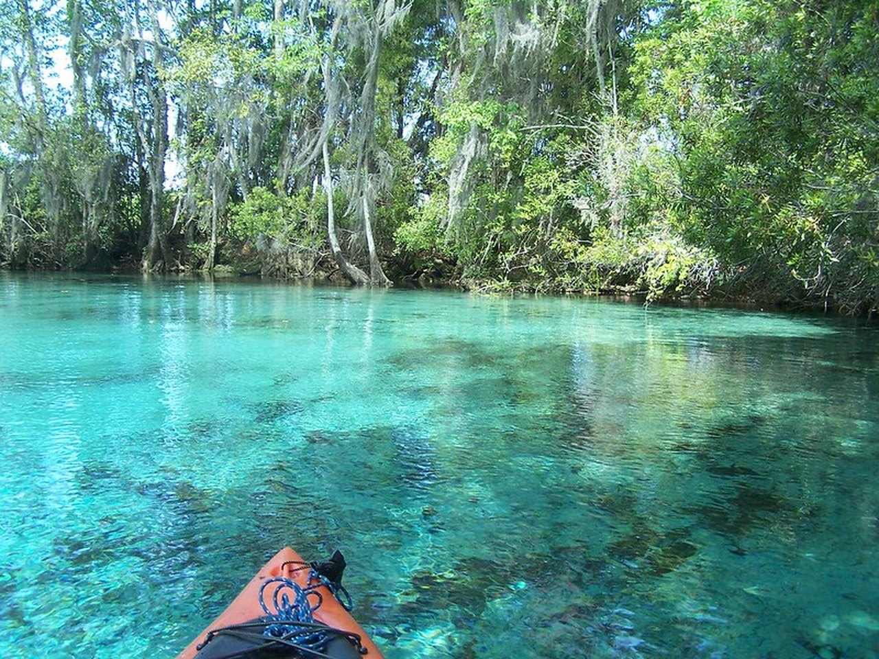 7-Stunning-Natural-Wonders-In-Altamonte-Springs-Florida 7-stunning-natural-wonders-in-altamonte-springs-florida