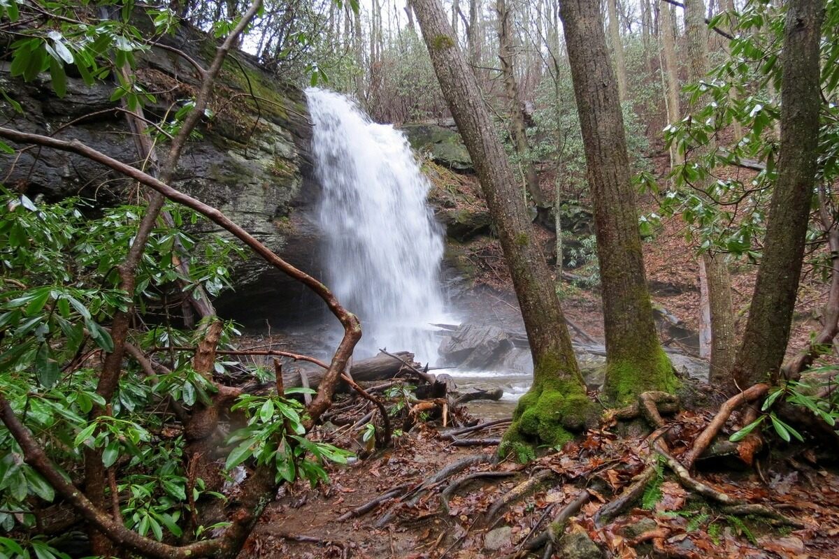 9-Scenic-Hikes-To-Take-In-Denton-Texas 9-scenic-hikes-to-take-in-denton-texas