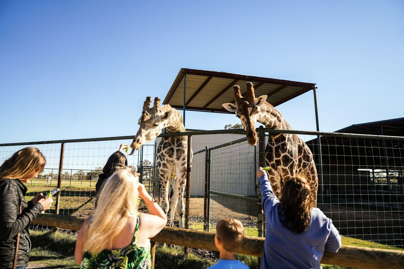 15-must-visit-places-in-bryan