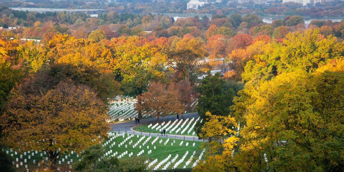 30-must-visit-places-in-arlington-heights