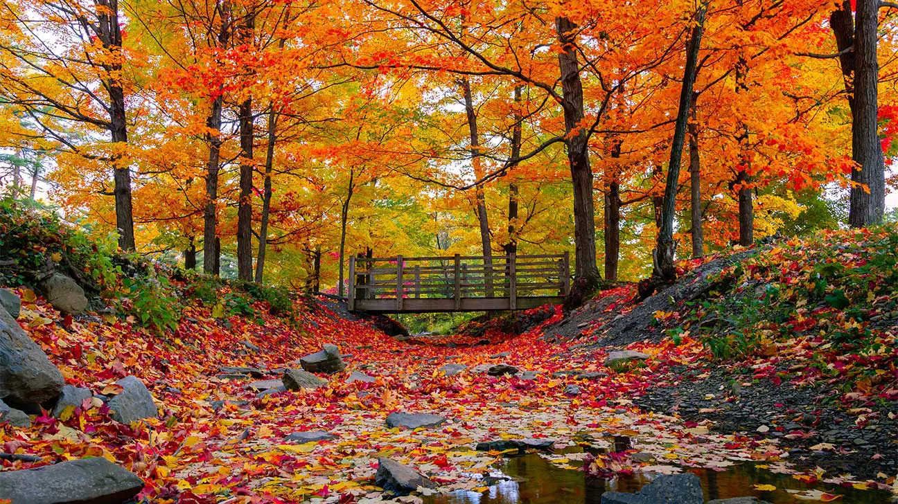 30-must-visit-places-in-chicopee