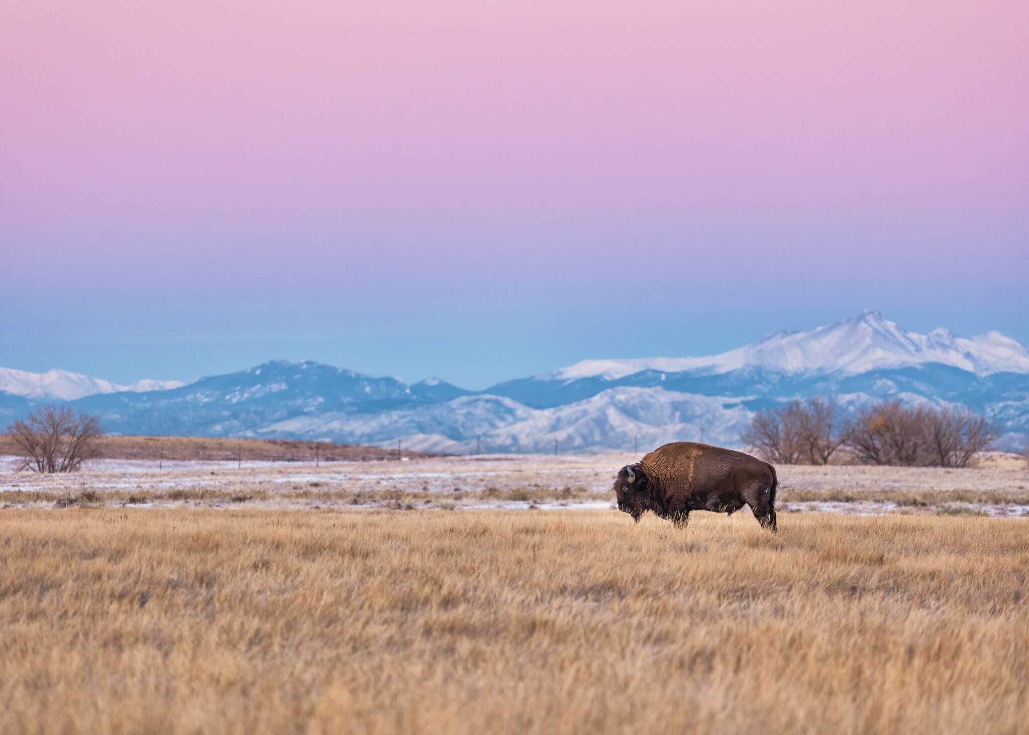 30-must-visit-places-in-commerce-city