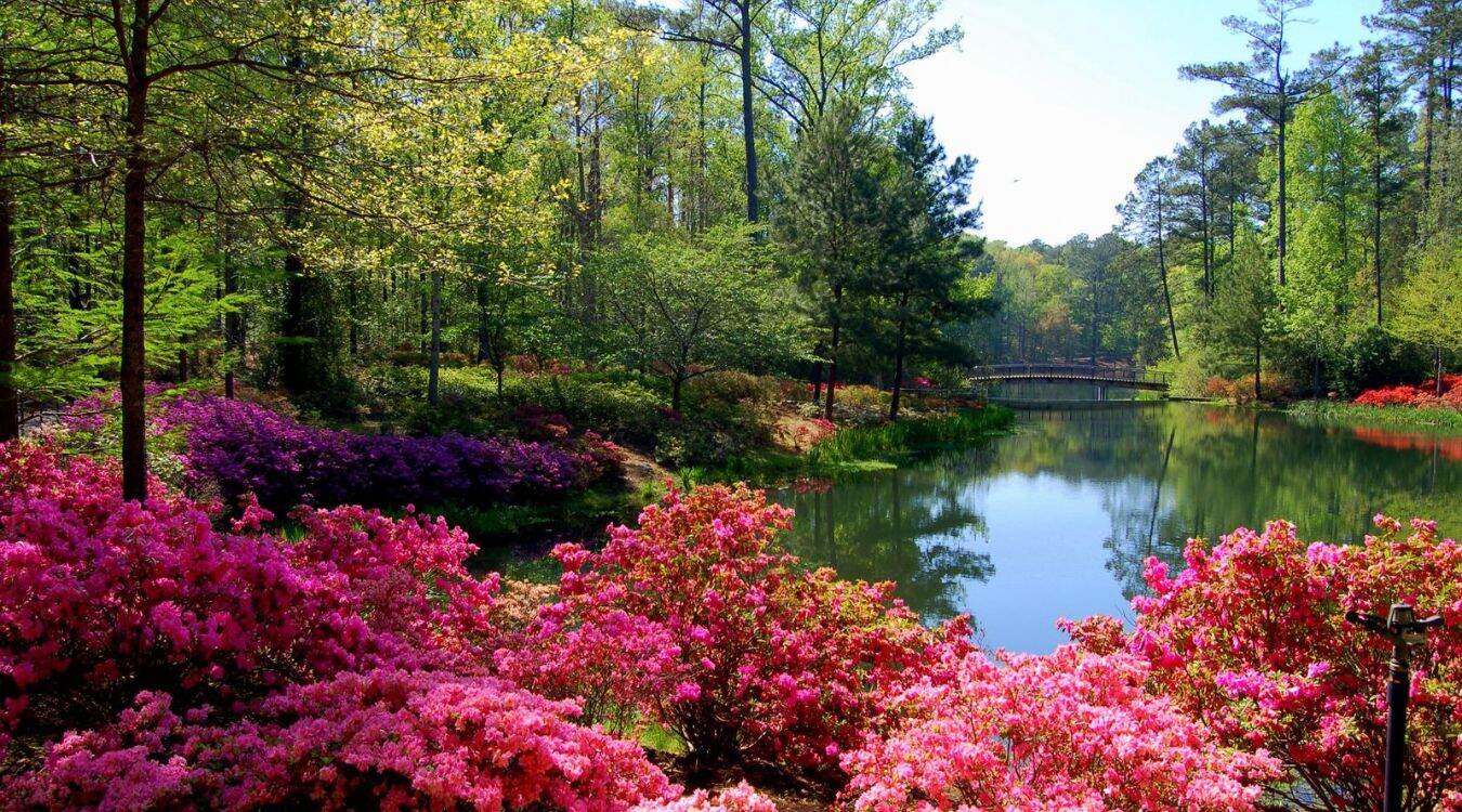 30-must-visit-places-in-hinesville