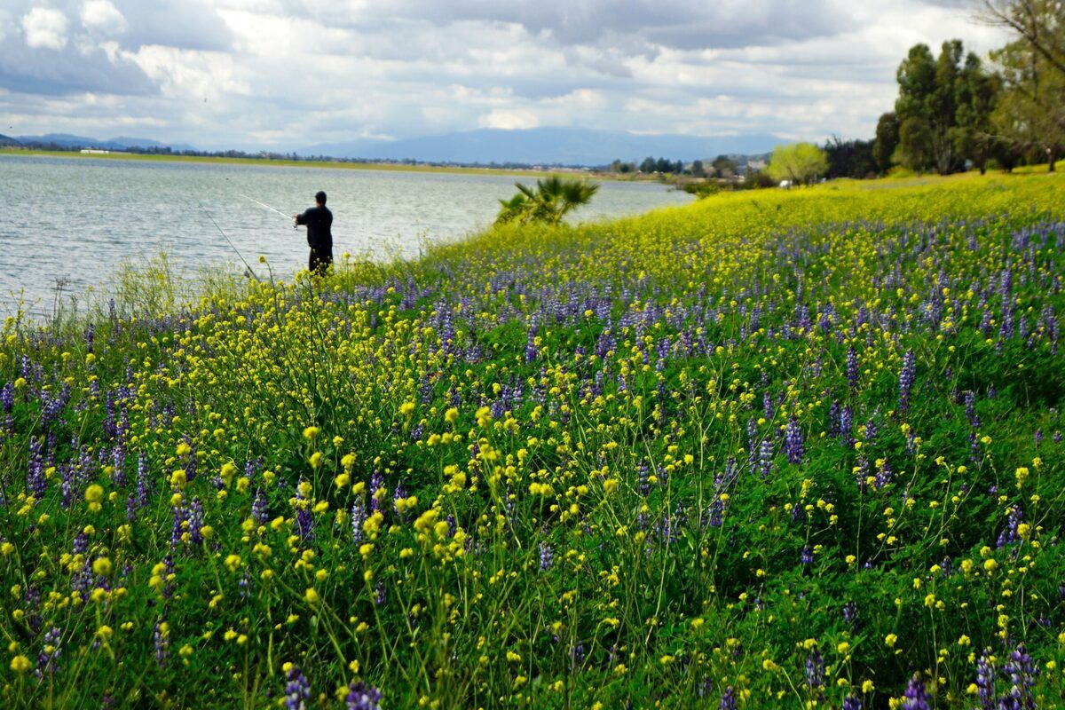 30-must-visit-places-in-lake-elsinore