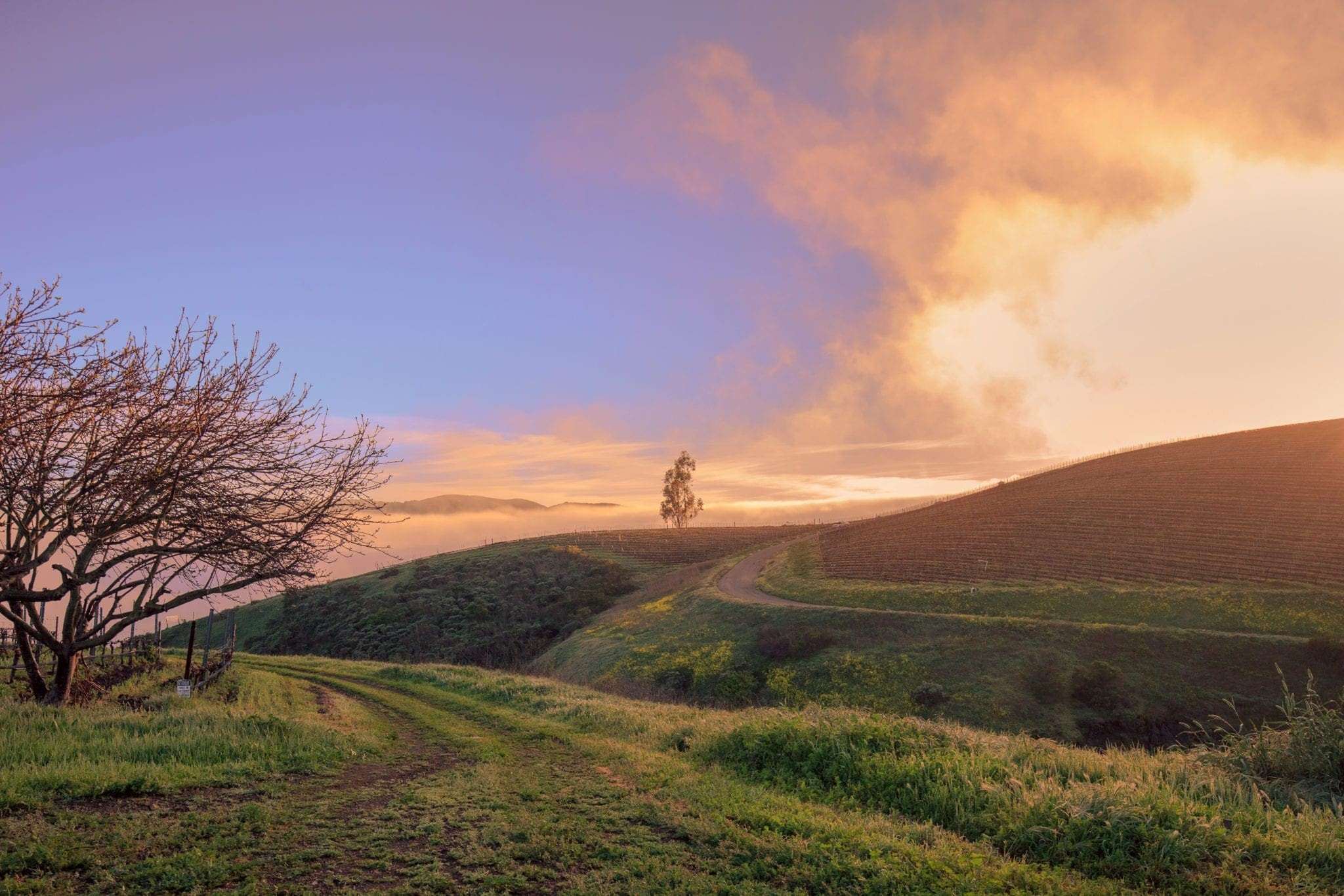 30-Must-Visit-Places-In-Lompoc 30-must-visit-places-in-lompoc