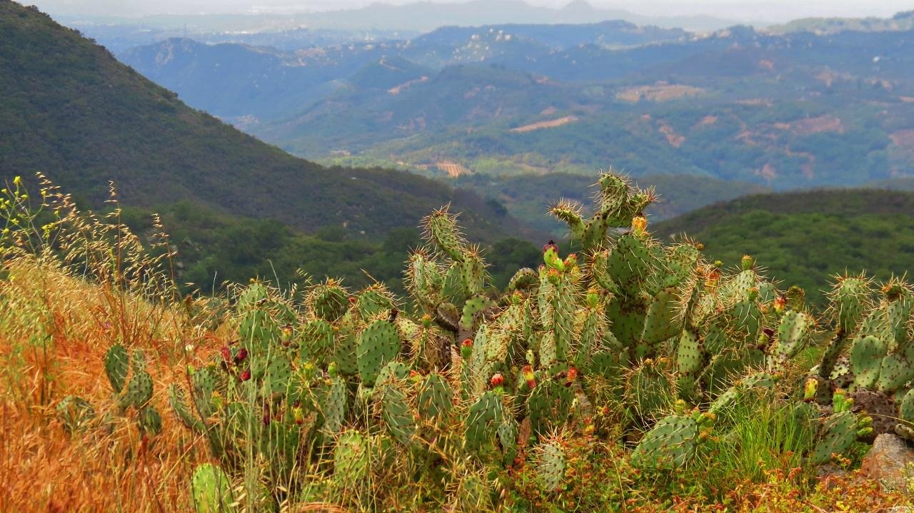 30-Must-Visit-Places-In-Murrieta 30-must-visit-places-in-murrieta