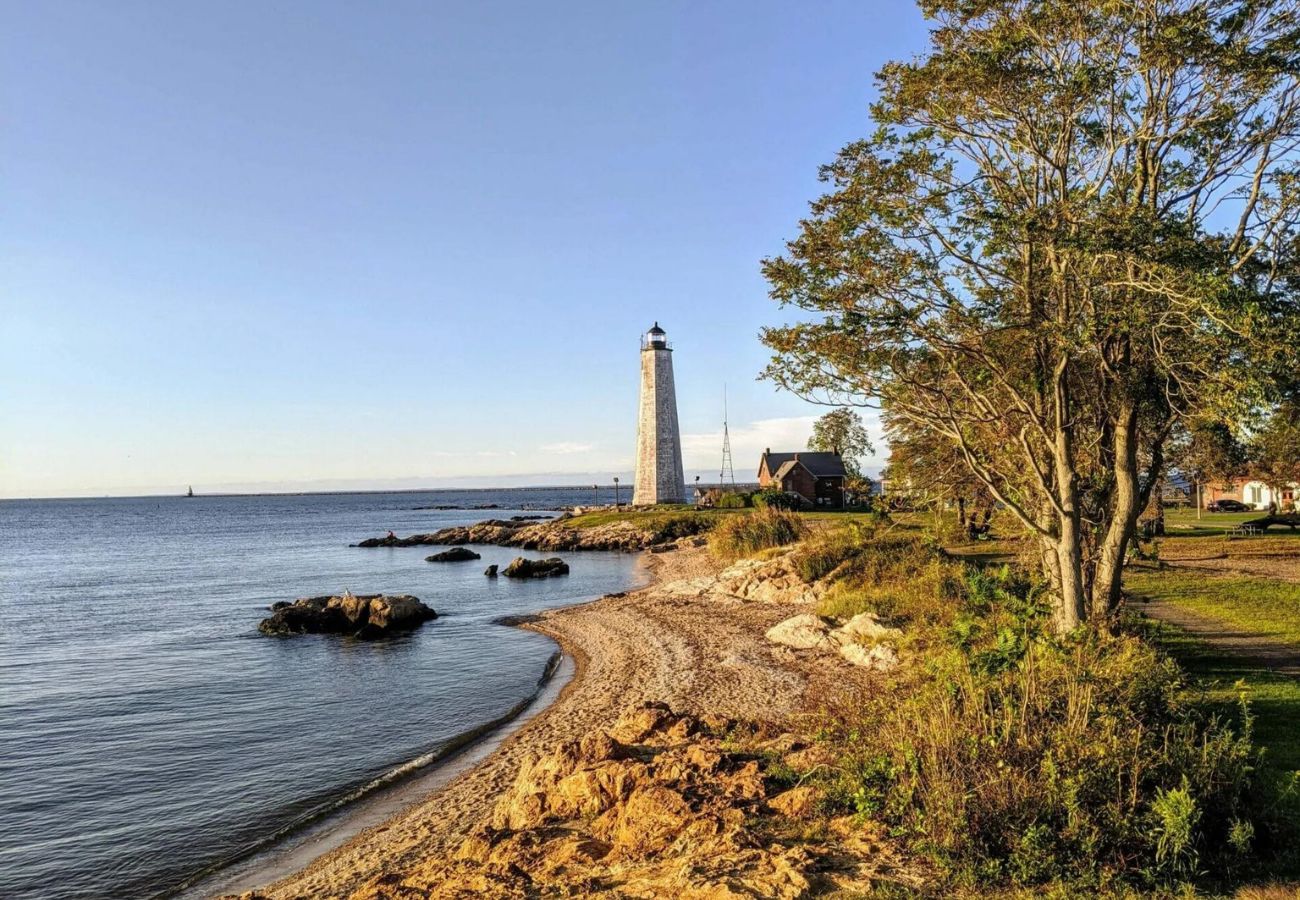 30-Must-Visit-Places-In-New-Haven 30-must-visit-places-in-new-haven