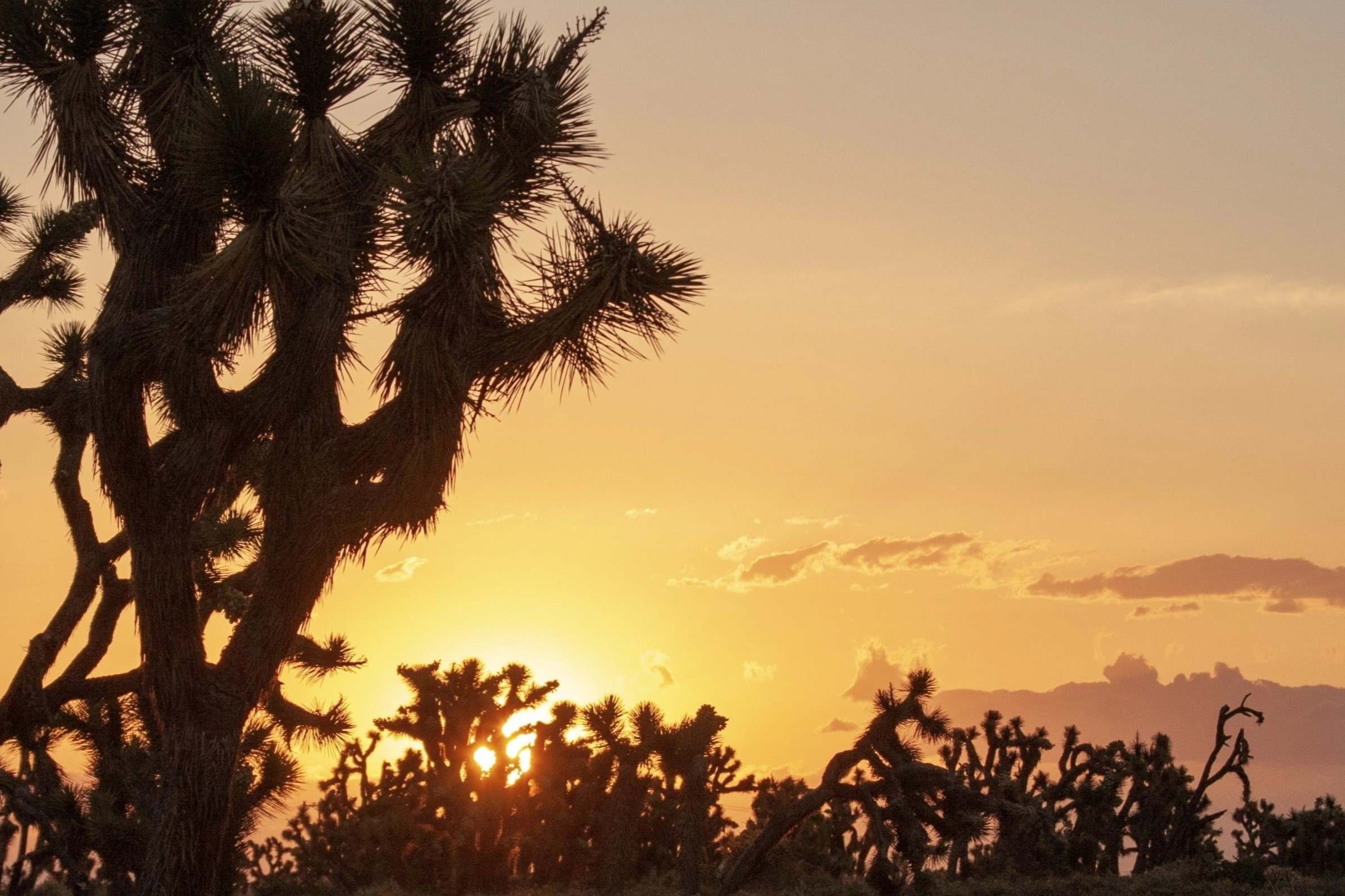 30-must-visit-places-in-palmdale