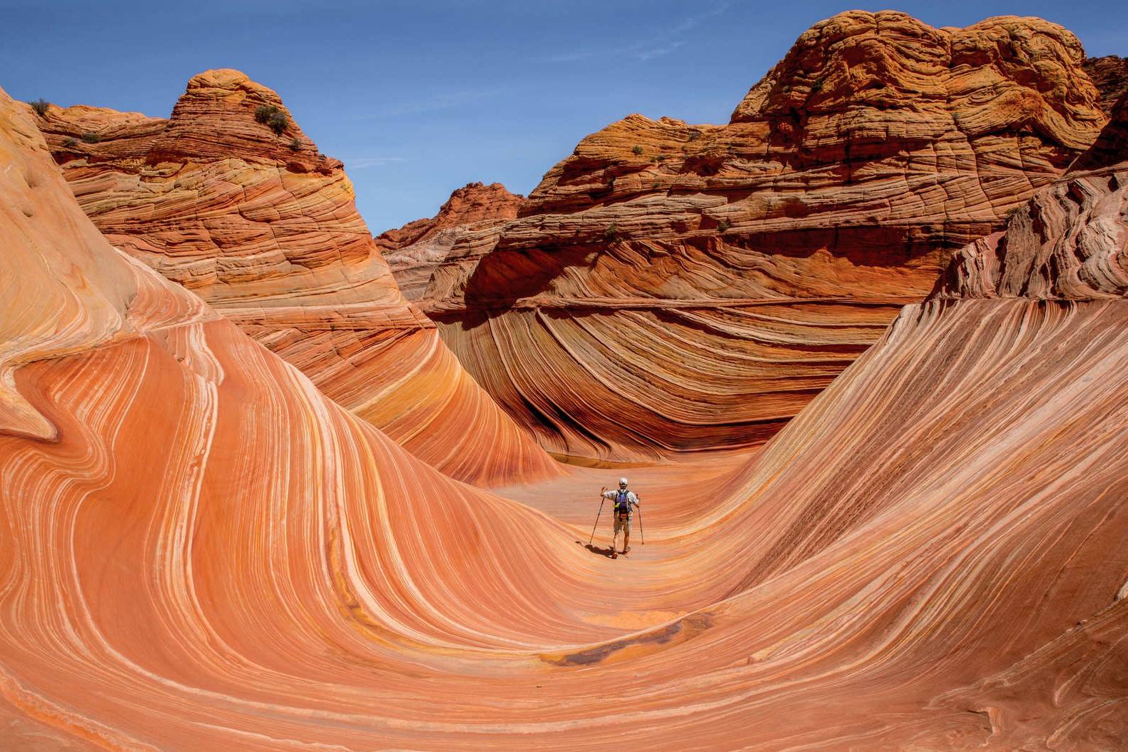 30-must-visit-places-in-phoenix