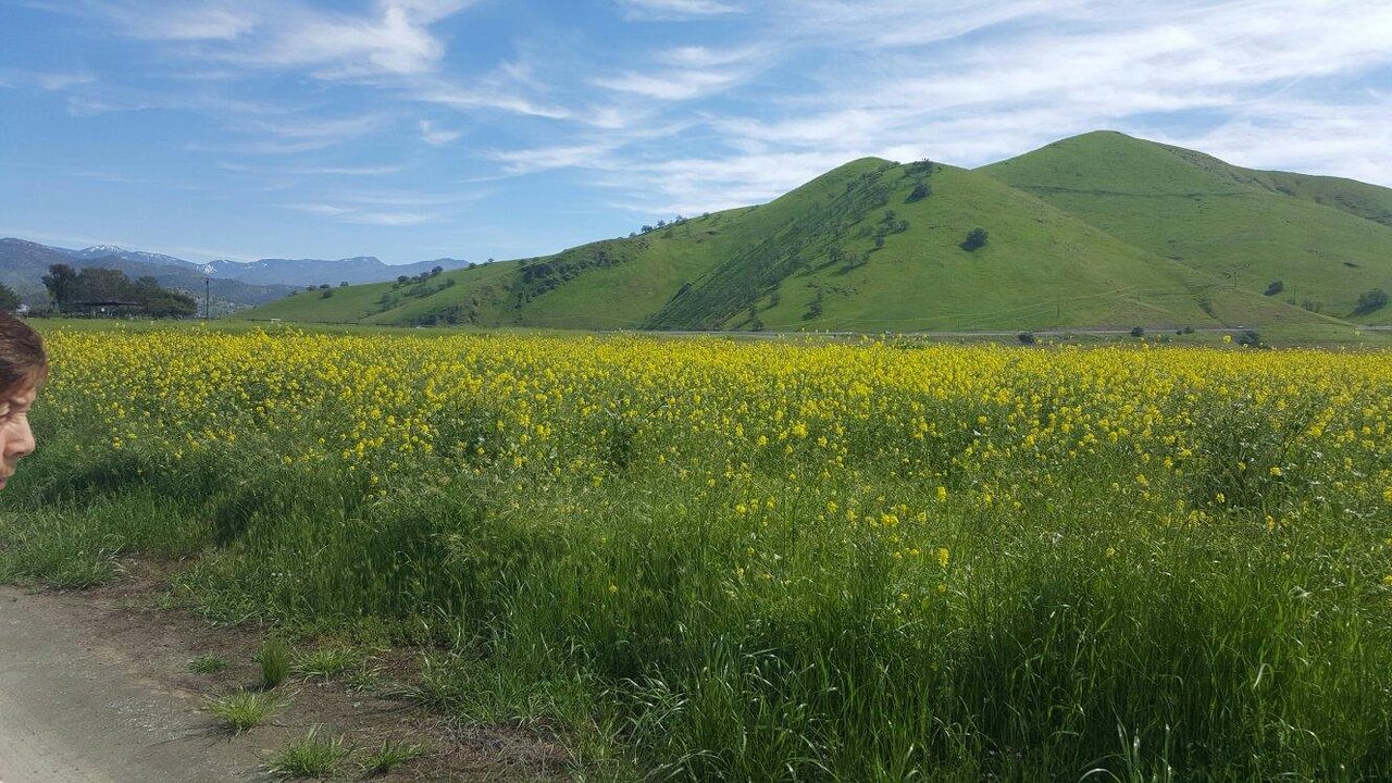 30-Must-Visit-Places-In-Porterville 30-must-visit-places-in-porterville