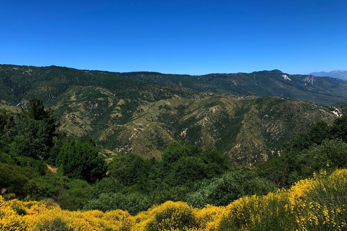 30-Must-Visit-Places-In-San-Bernardino 30-must-visit-places-in-san-bernardino