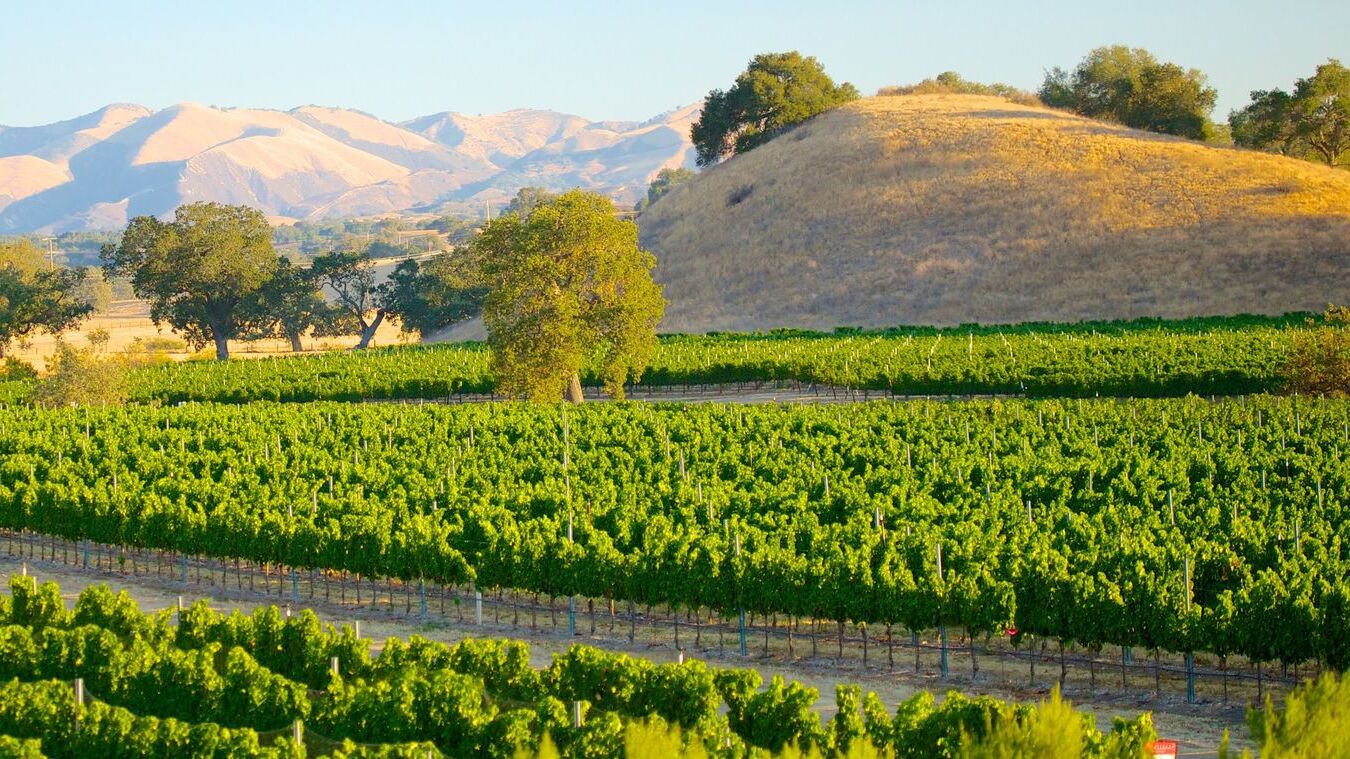 30-must-visit-places-in-santa-maria