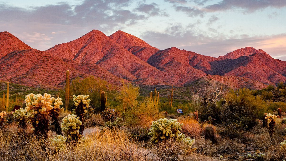 30-must-visit-places-in-scottsdale