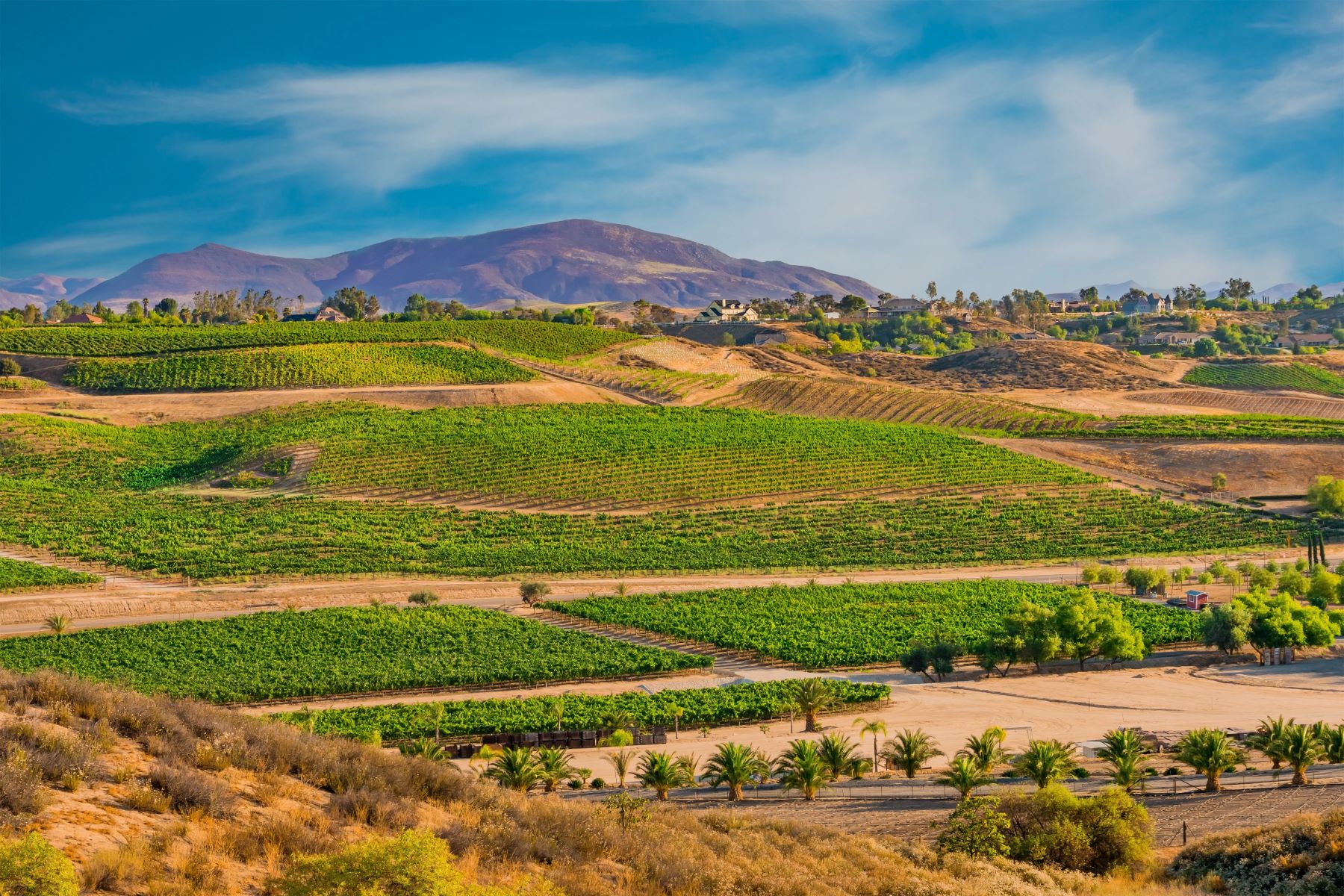 30-must-visit-places-in-temecula
