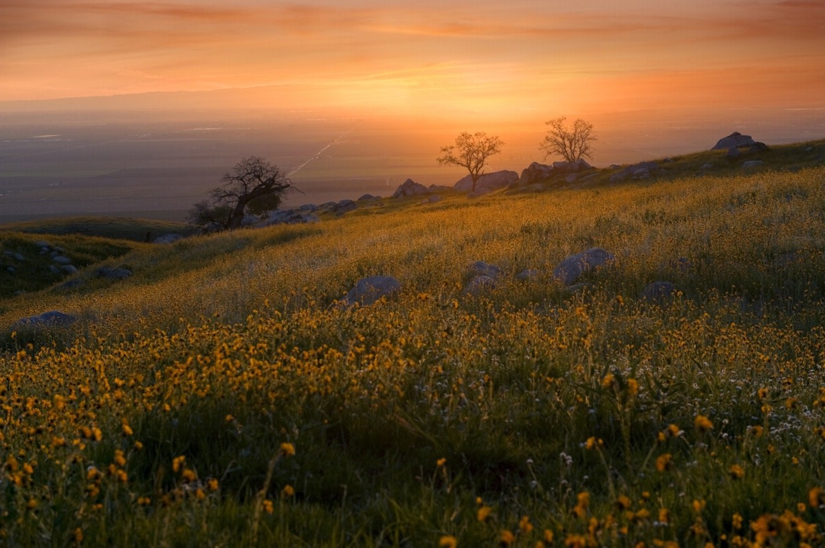 30-must-visit-places-in-vacaville