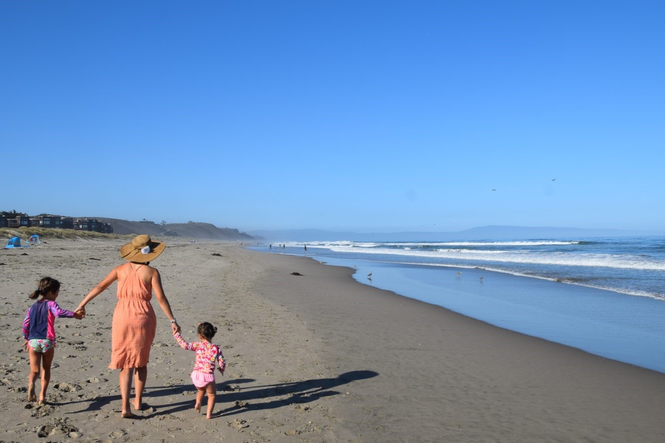 30-Must-Visit-Places-In-Watsonville 30-must-visit-places-in-watsonville