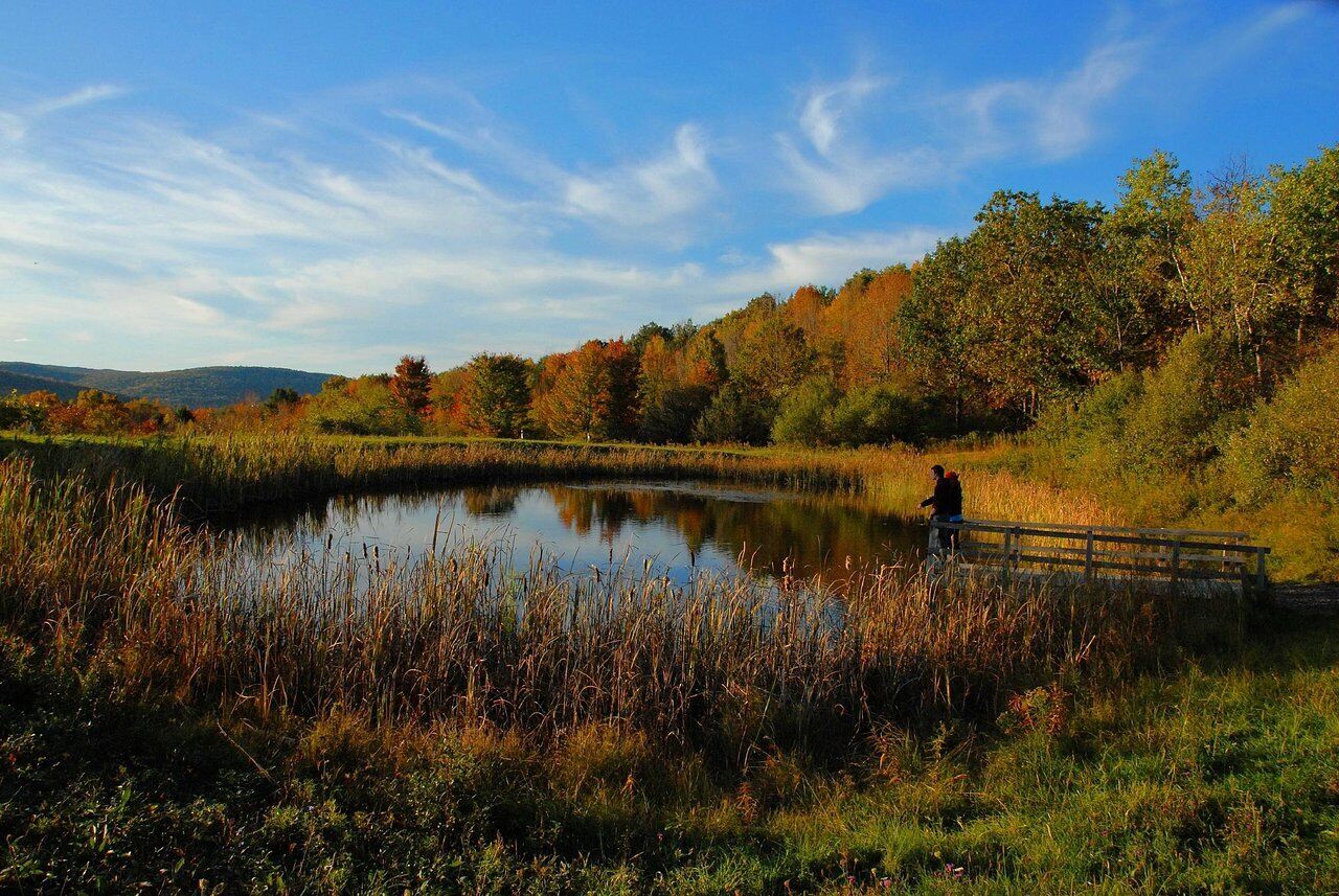 31-Must-Visit-Places-In-Elmira 31-must-visit-places-in-elmira