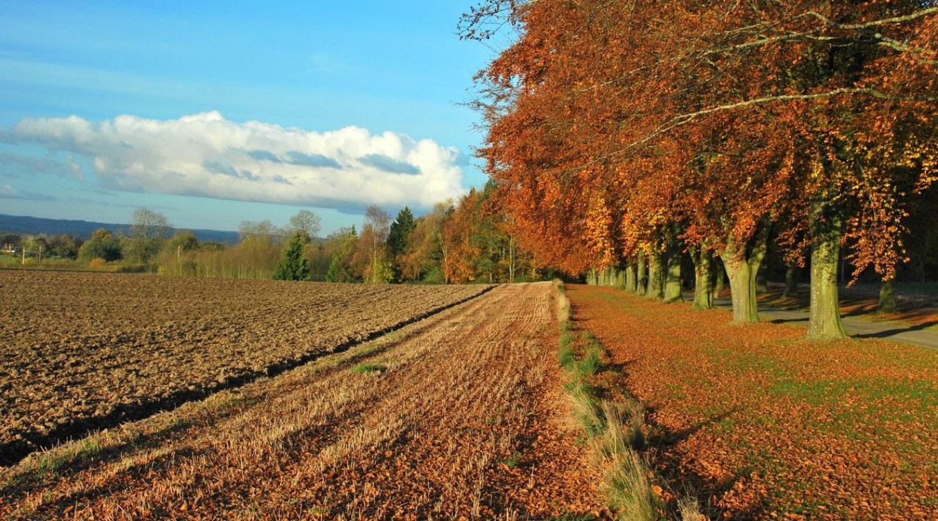 31-must-visit-places-in-leominster