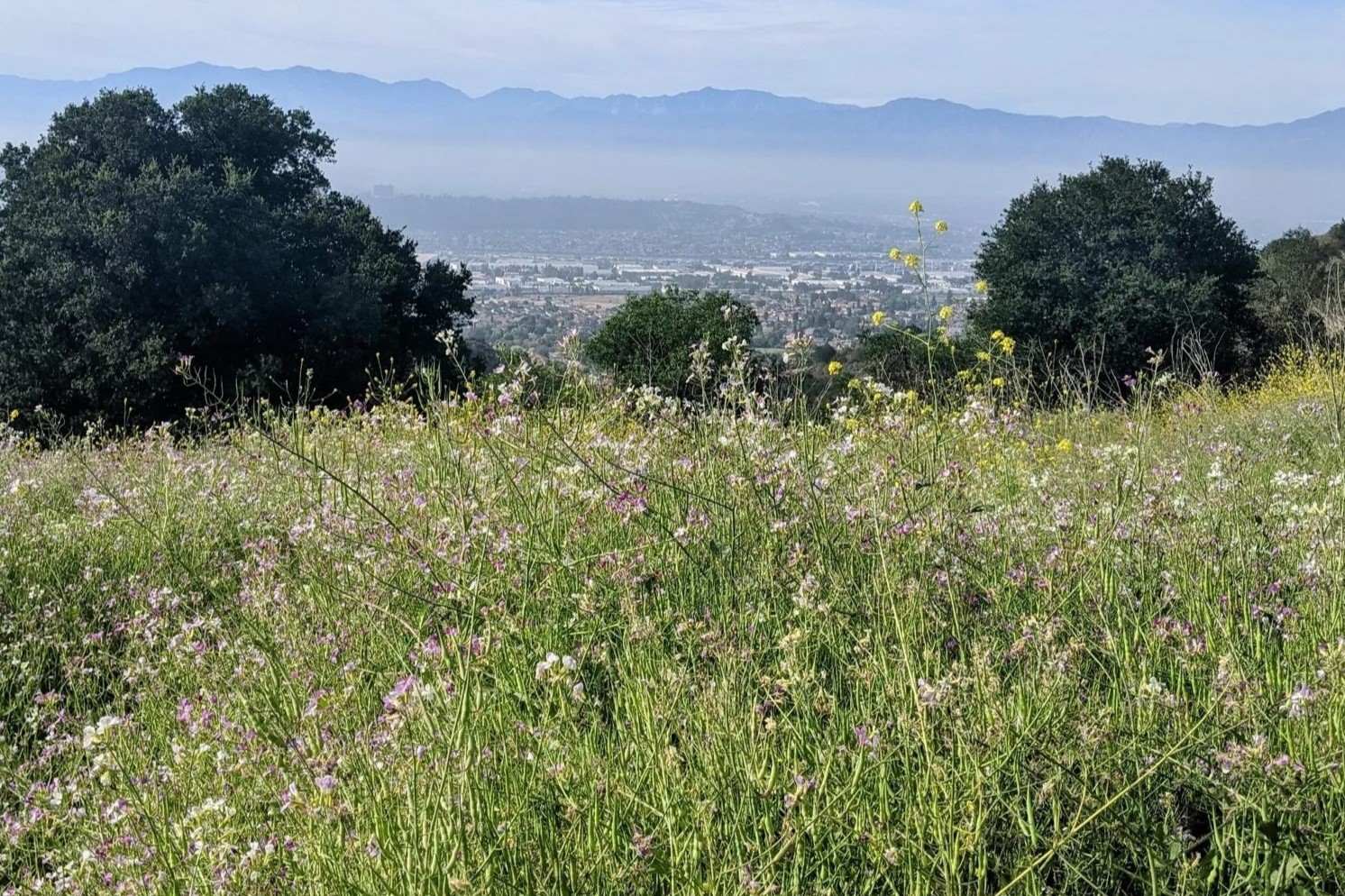 34-Must-Visit-Places-In-La-Habra 34-must-visit-places-in-la-habra