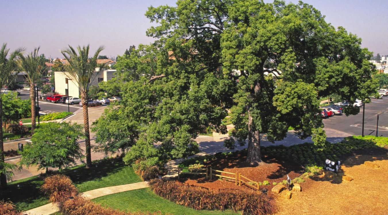 34-Must-Visit-Places-In-Paramount 34-must-visit-places-in-paramount