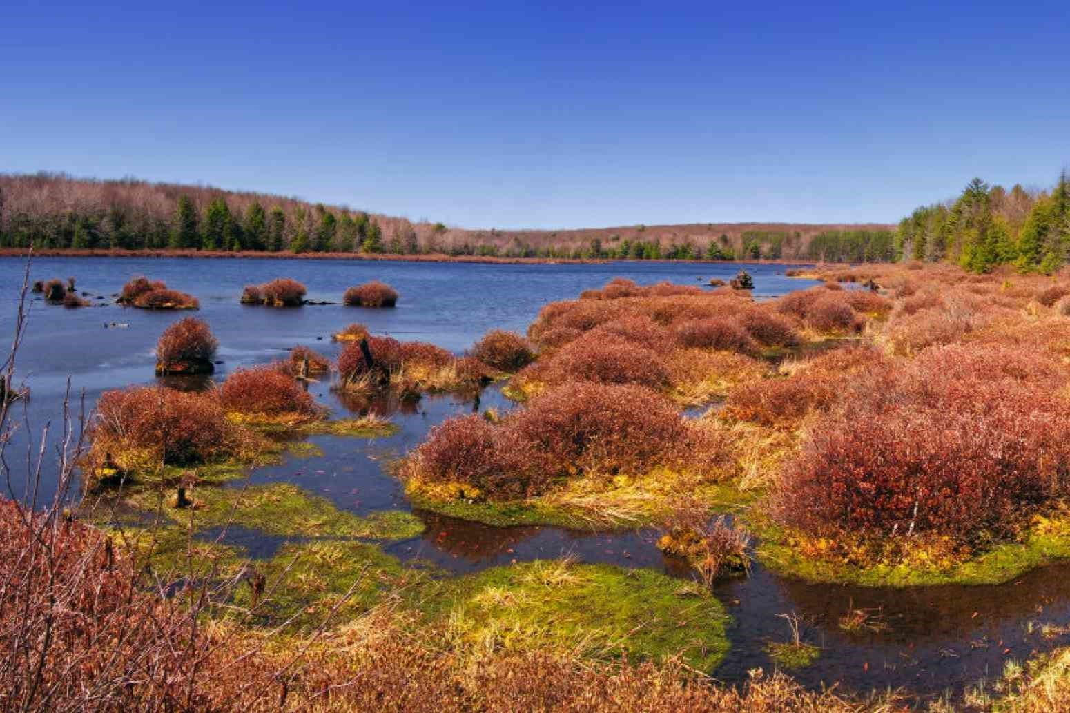 34-Must-Visit-Places-In-State-College 34-must-visit-places-in-state-college