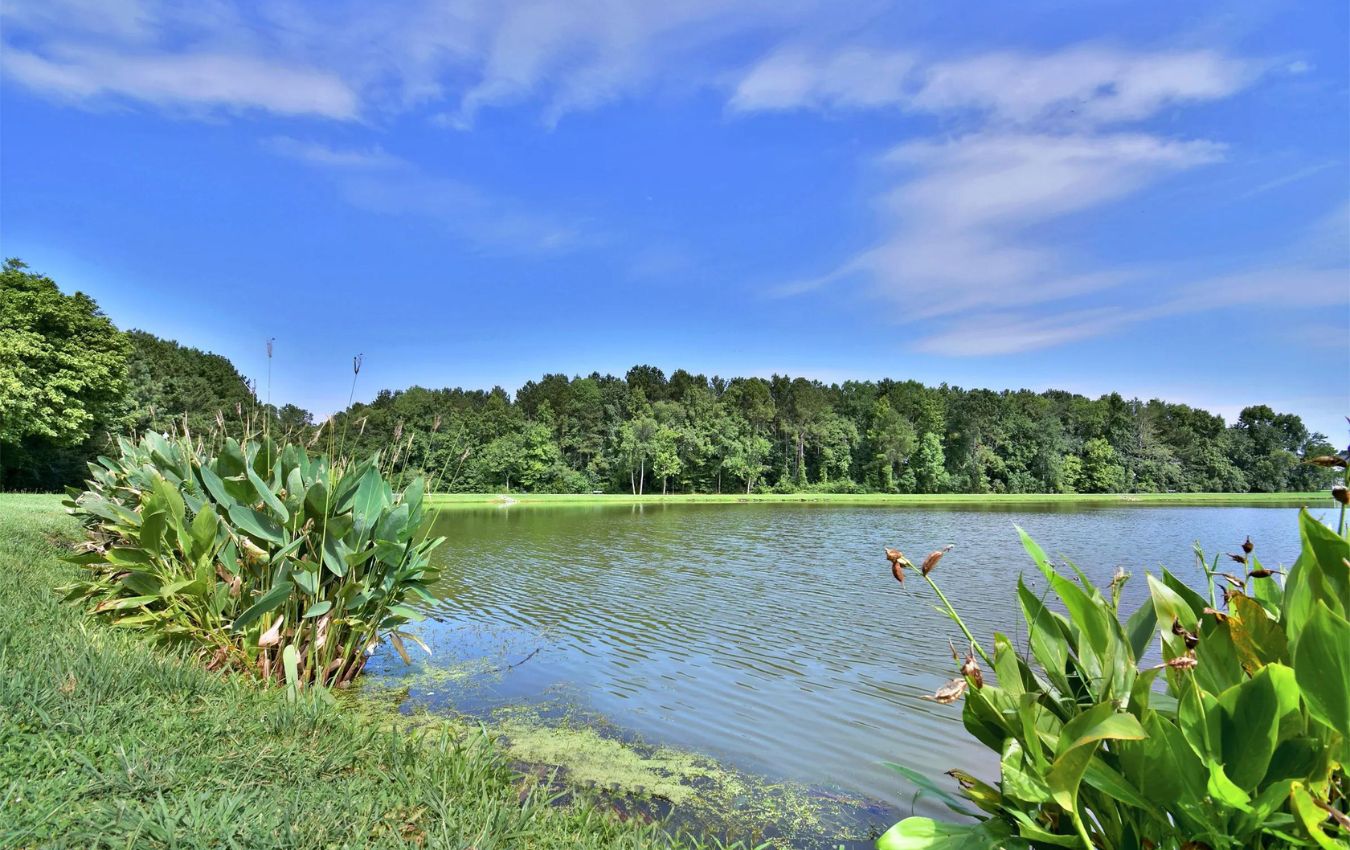 35-must-visit-places-in-goose-creek