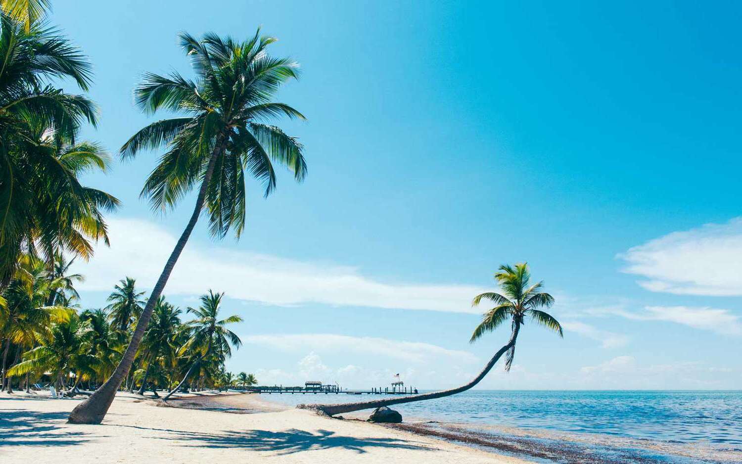 35-Must-Visit-Places-In-Palm-Bay 35-must-visit-places-in-palm-bay