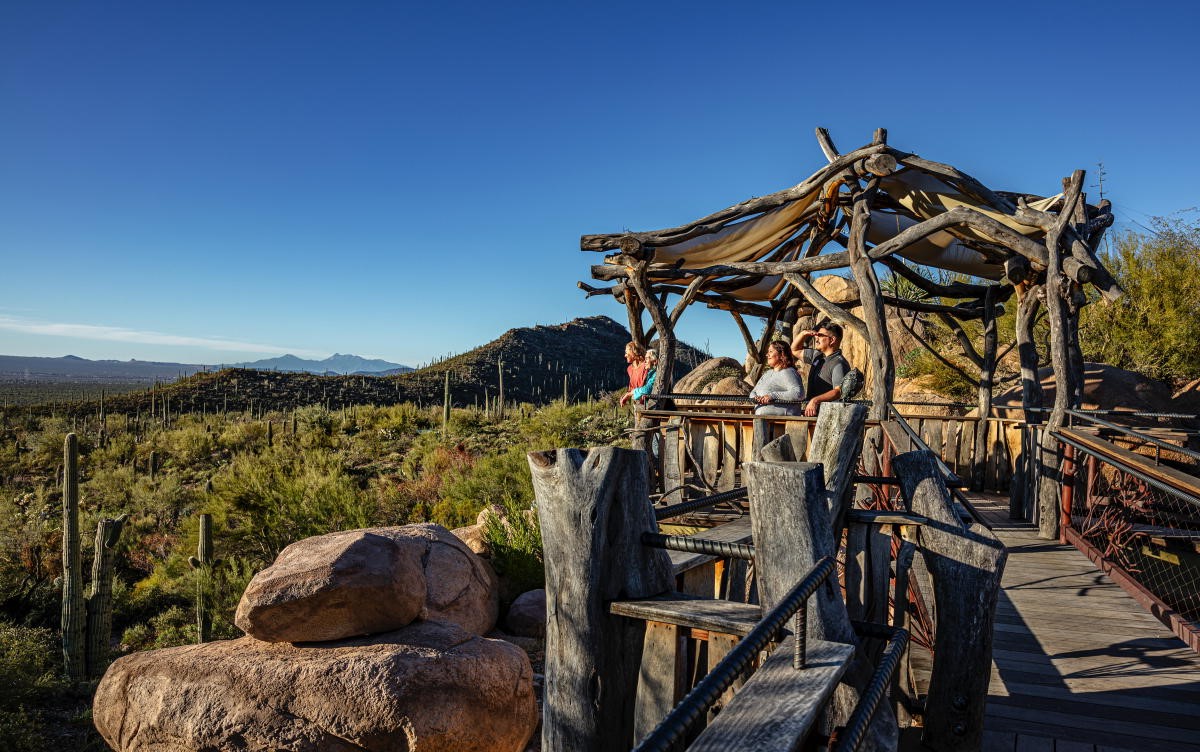 35-must-visit-places-in-tucson