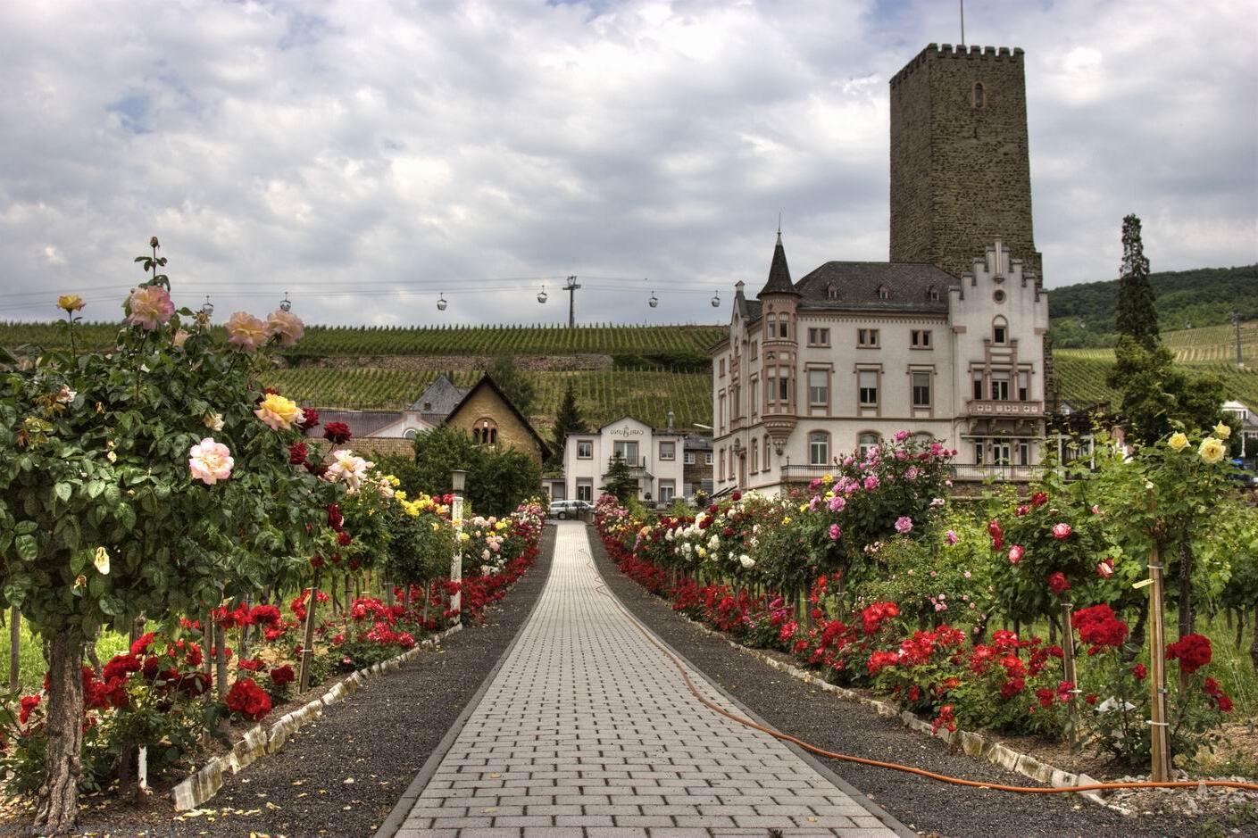 11-hidden-gems-to-explore-in-rudesheim-am-rhein-germany