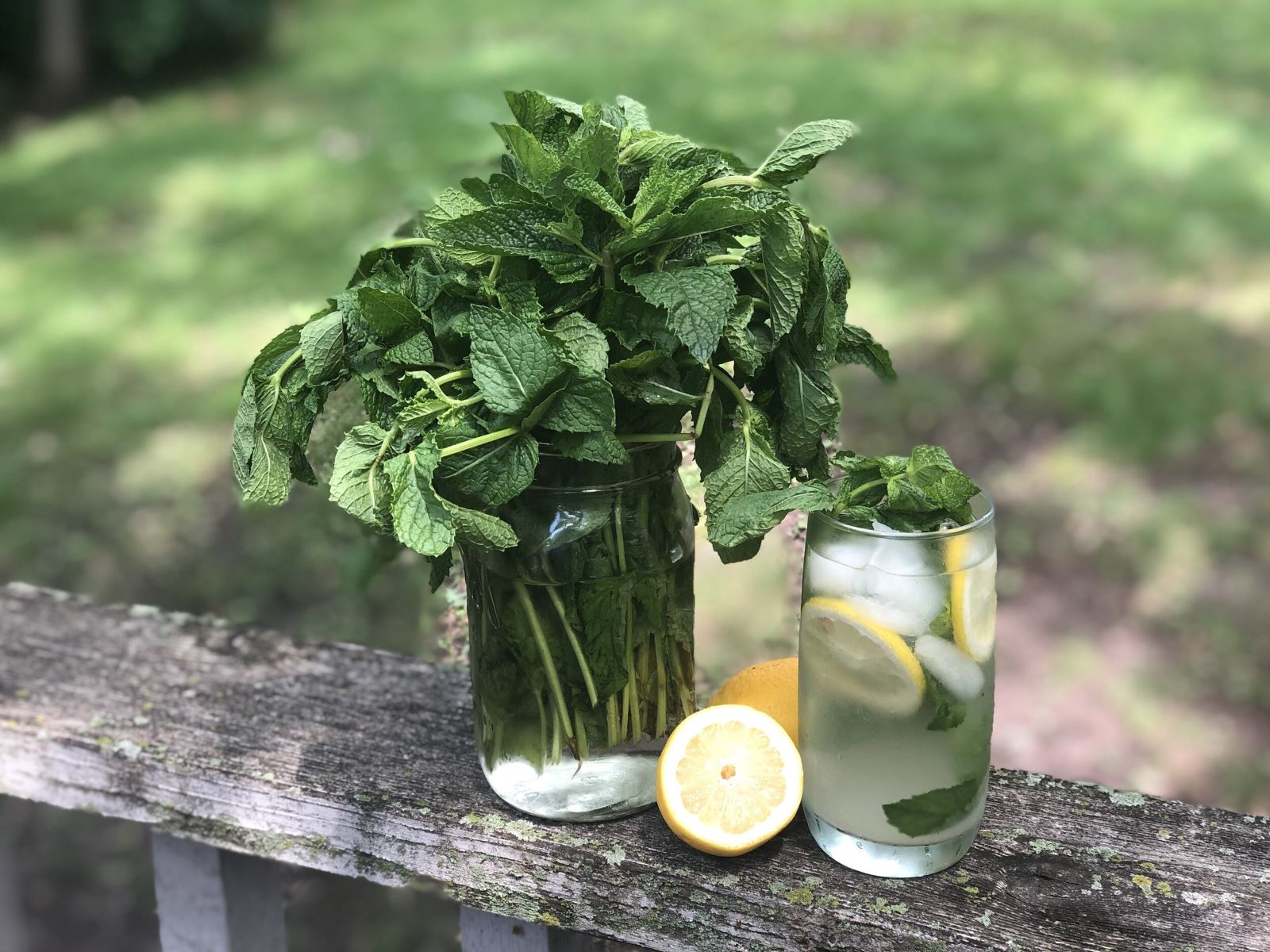 6-Must-Try-Israeli-Drinks-That-Will-Surprise-You 6-must-try-israeli-drinks-that-will-surprise-you
