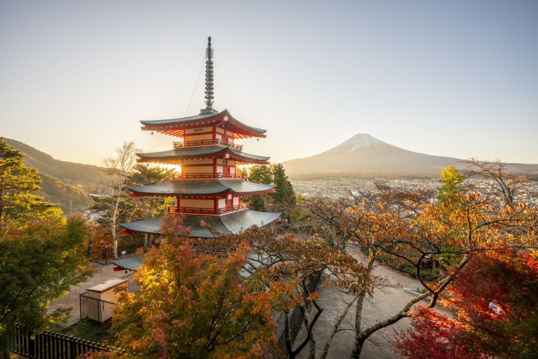 8-Hidden-Gems-Temples-And-Shrines-You-Can8217t-Miss-In-Tokyo 8-hidden-gems-temples-and-shrines-you-cant-miss-in-tokyo