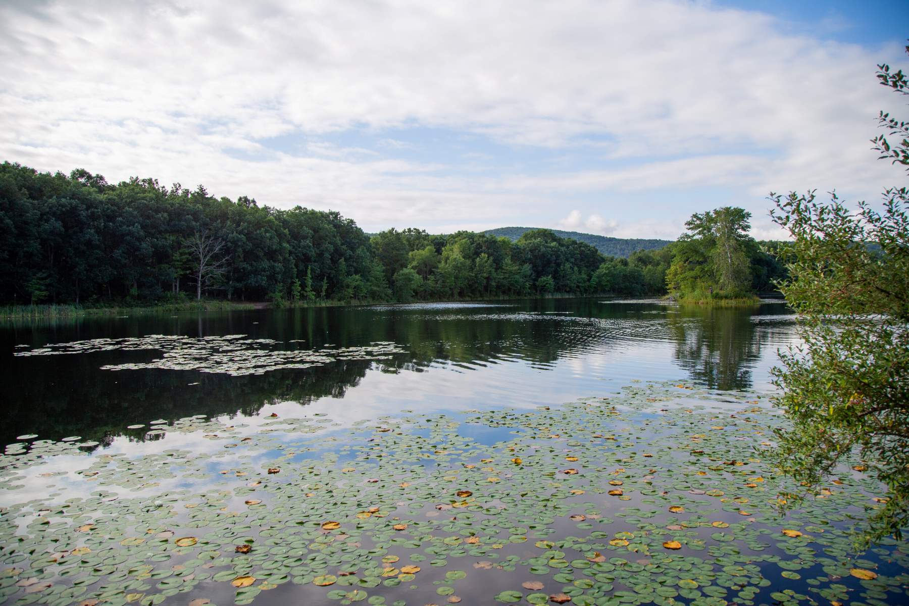 adventure-awaits-at-nescopeck-state-parks-lake-frances
