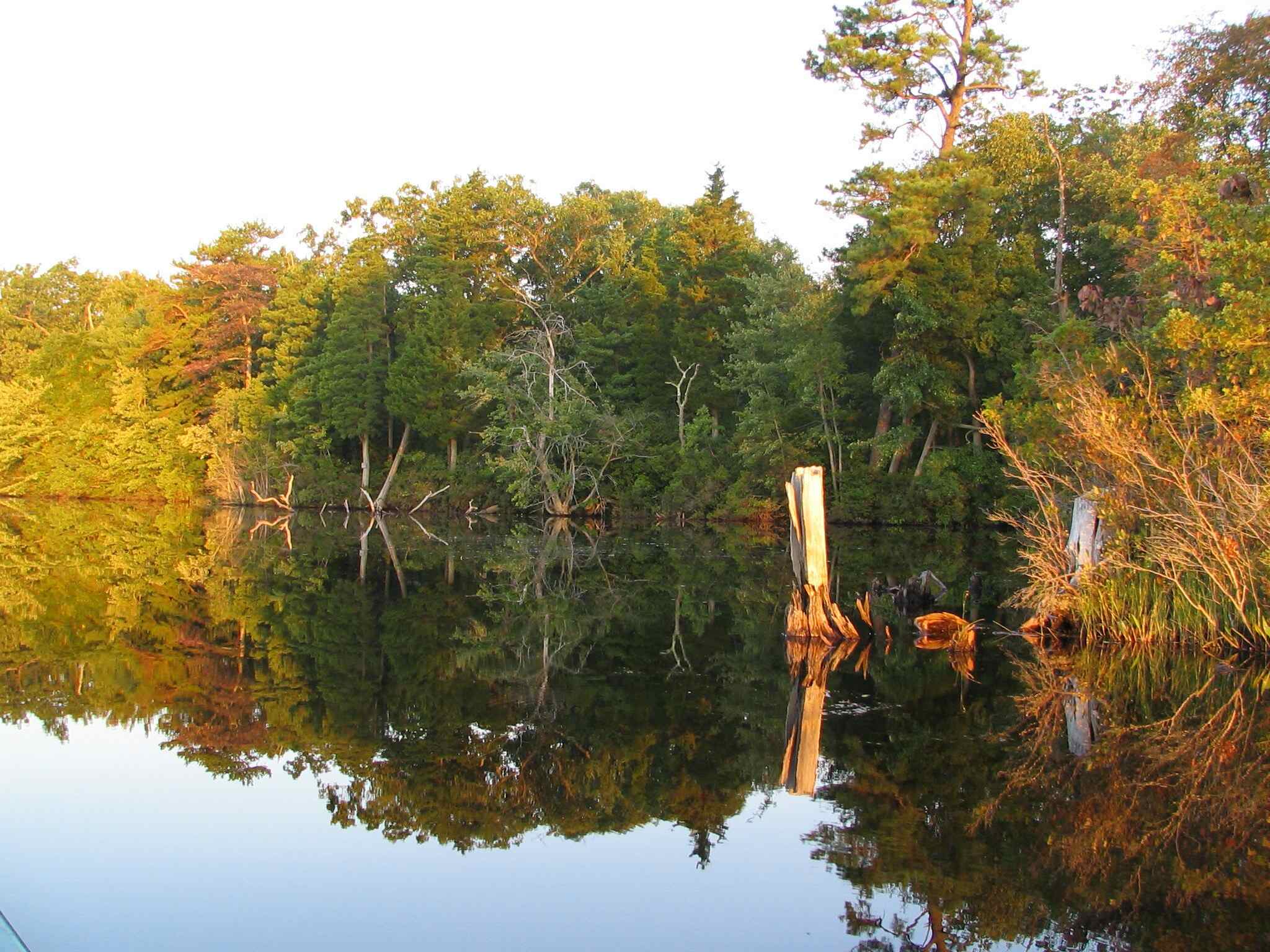 atsion-lake-adventures-in-wharton-state-forest