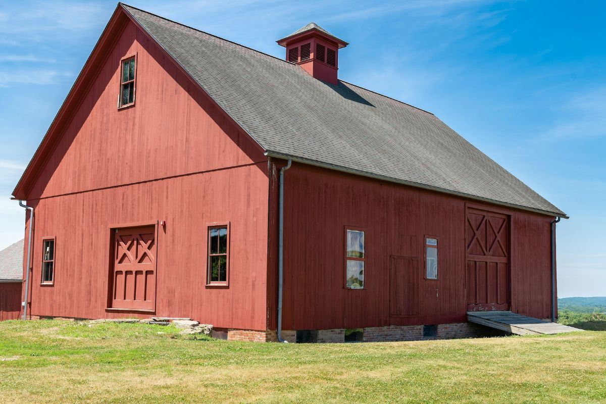 blossom-bliss-at-boltons-rose-farm