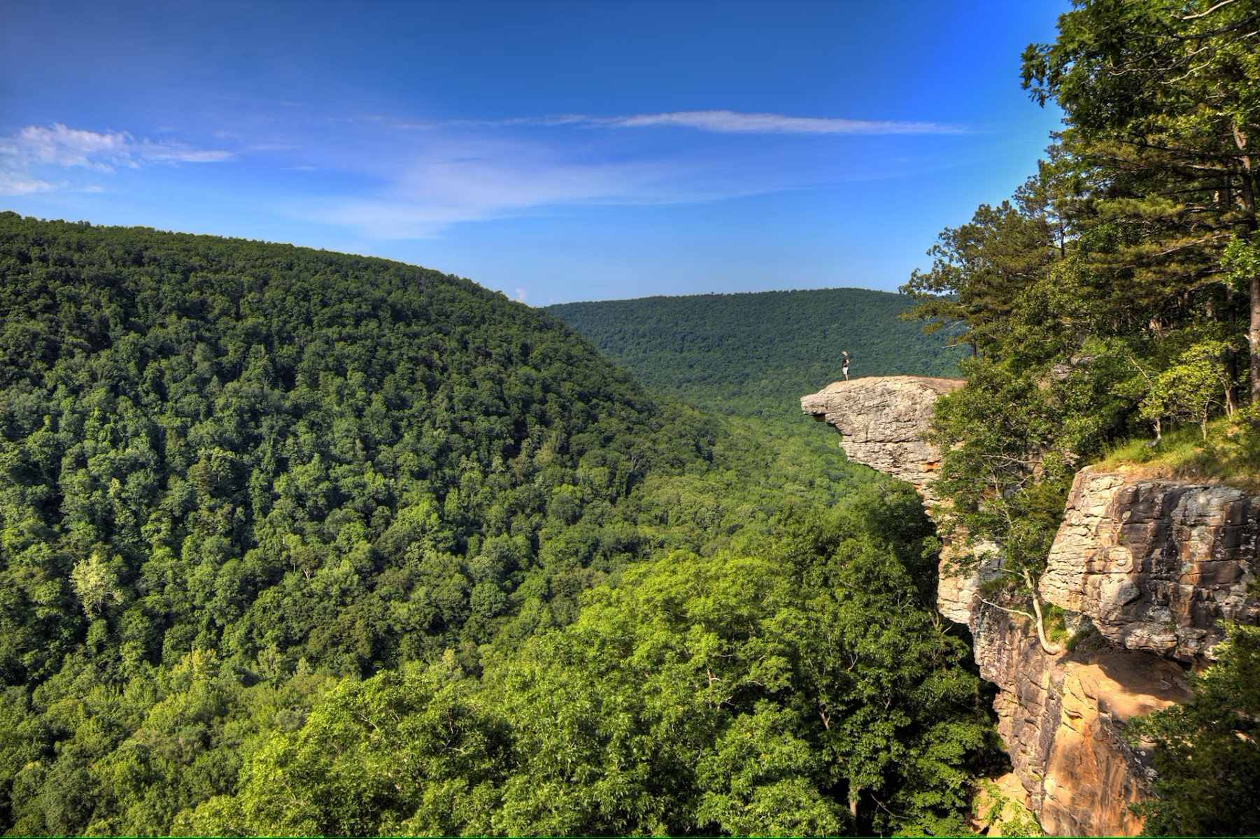 breathtaking-drives-through-ozark-st-francis-forest