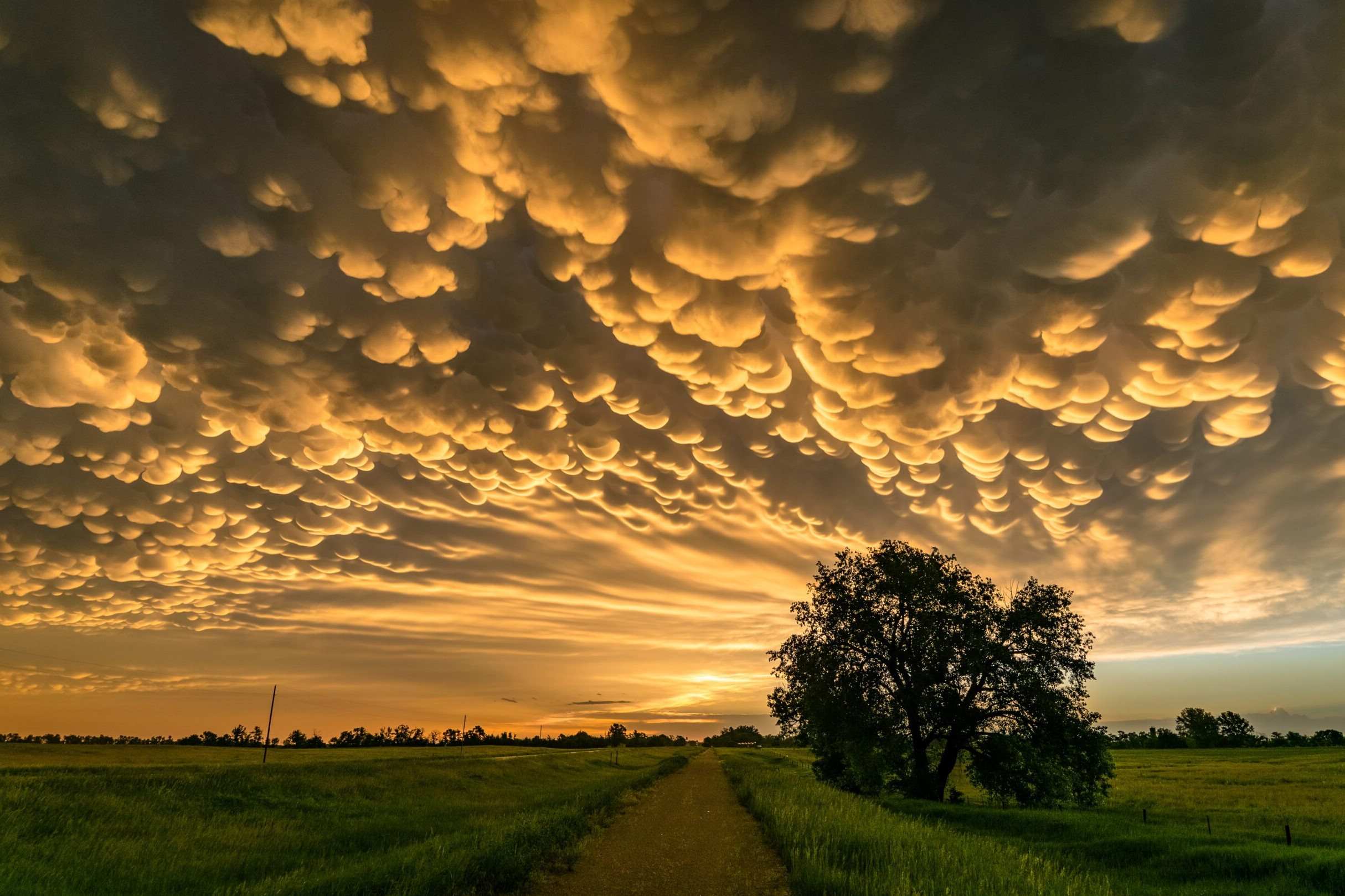 Breathtaking-Locations-To-See-Mammatus-Cloud-Formations breathtaking-locations-to-see-mammatus-cloud-formations