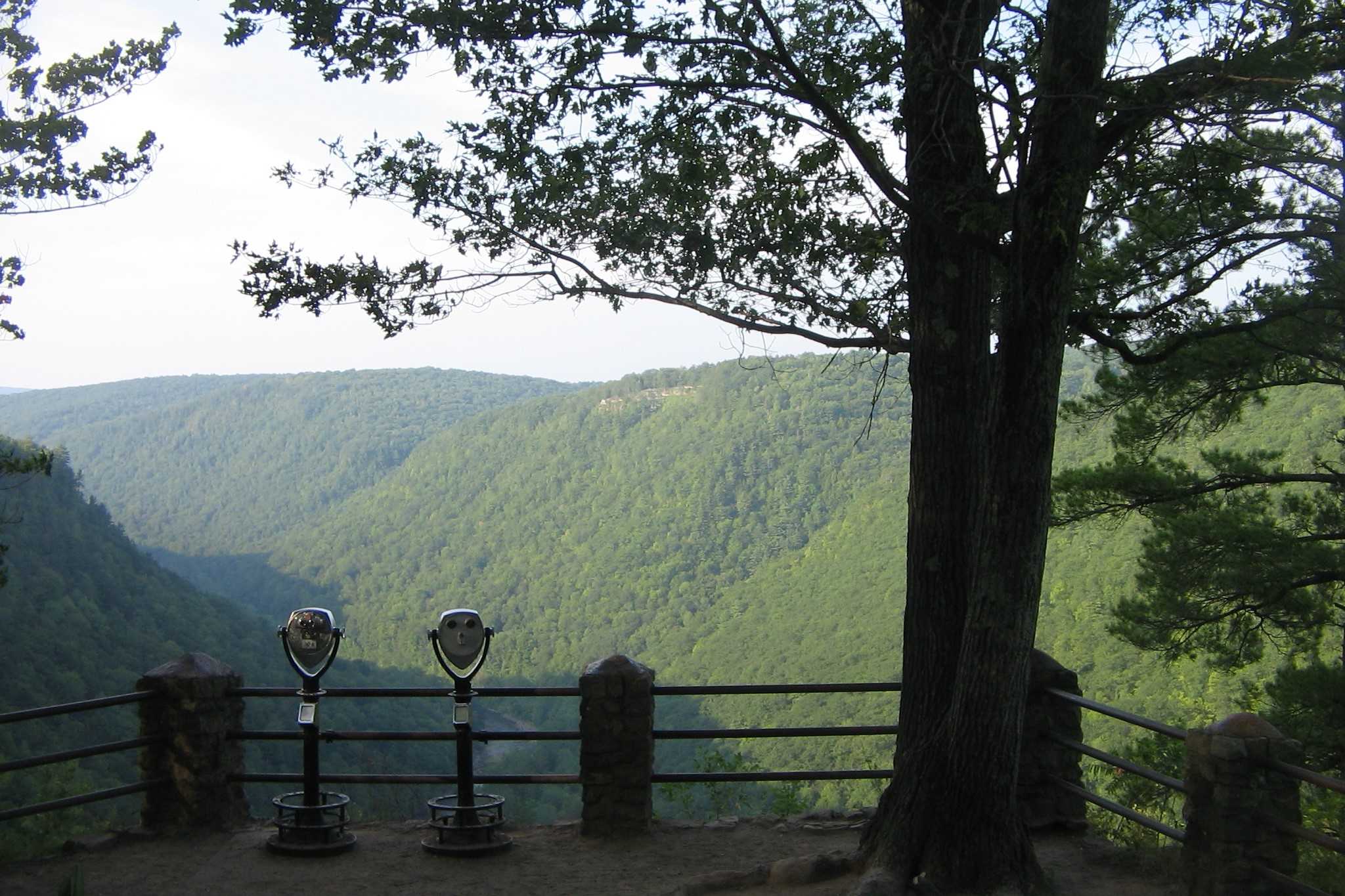 breathtaking-vistas-at-colton-point-state-park