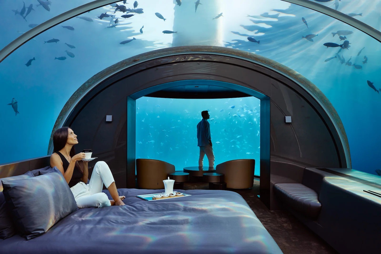 Charming-Underwater-Hotel-Rooms-With-Aquarium-Views charming-underwater-hotel-rooms-with-aquarium-views