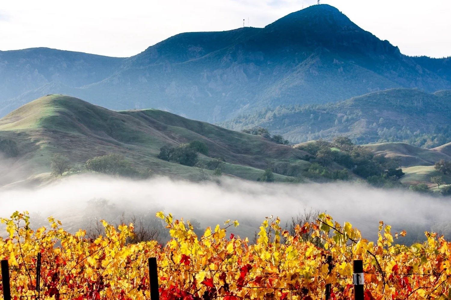 climb-to-the-summit-of-mt-st-helena