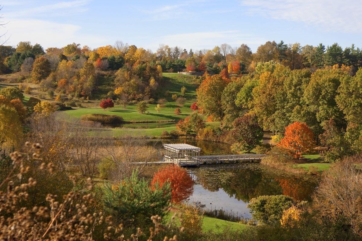 cornell-botanic-gardens-breathtaking-natural-areas
