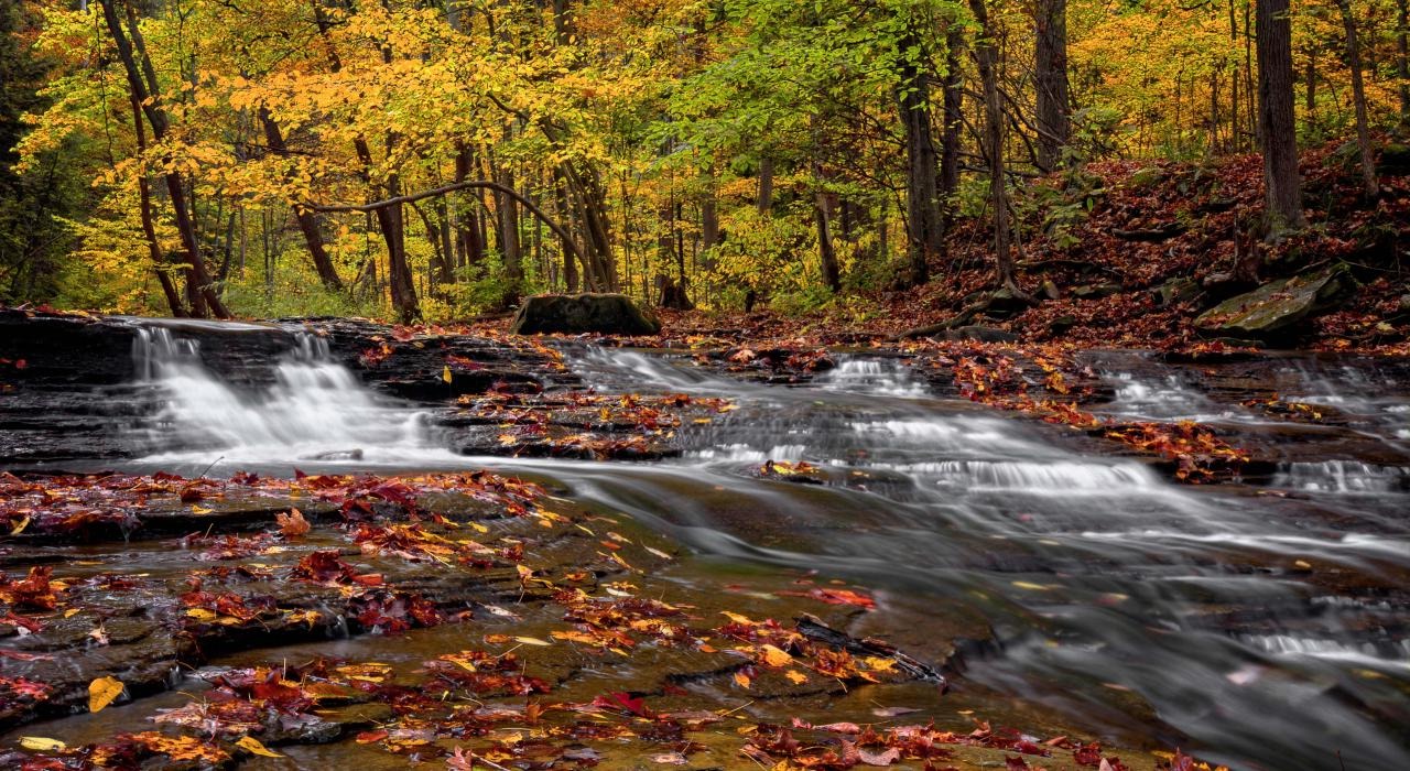 cuyahoga-valley-national-park-ohios-hidden-gem