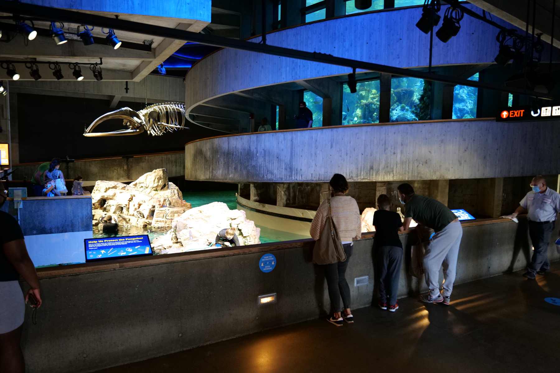 Dive-Into-The-Wonders-Of-New-England8217s-Giant-Ocean-Tank dive-into-the-wonders-of-new-englands-giant-ocean-tank