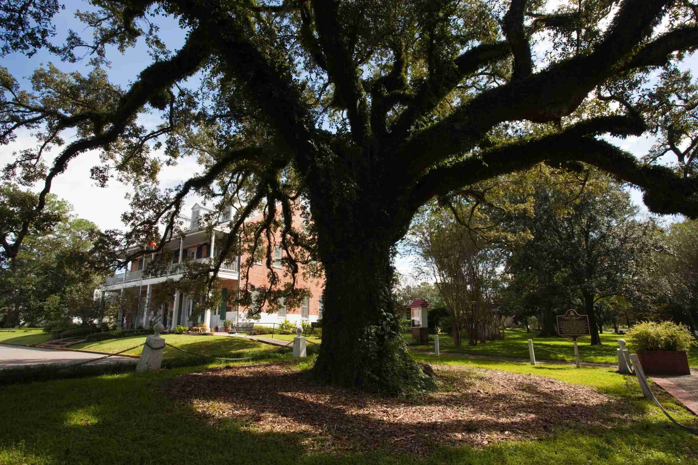 enchanting-adventures-at-longfellow-evangeline-park