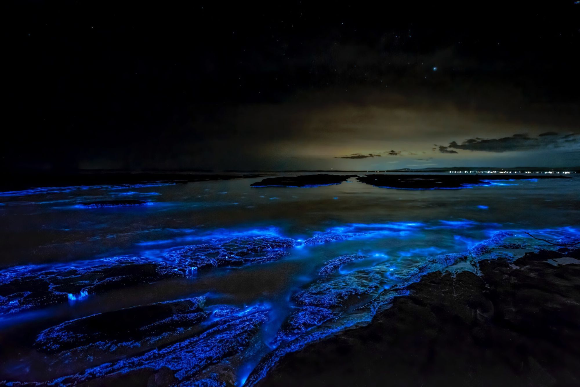 Enchanting-Bioluminescent-Bays-Around-The-World enchanting-bioluminescent-bays-around-the-world