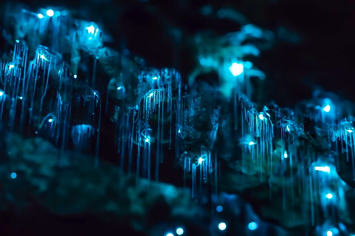 Enchanting-Glowworm-Tunnels-That-Mimic-Starry-Skies enchanting-glowworm-tunnels-that-mimic-starry-skies