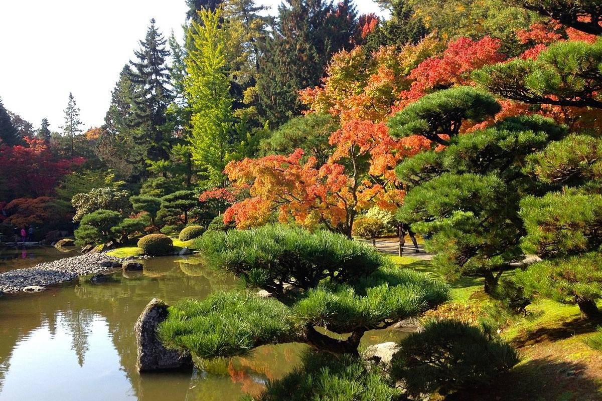 enchanting-green-oasis-in-seattles-washington-park-arboretum