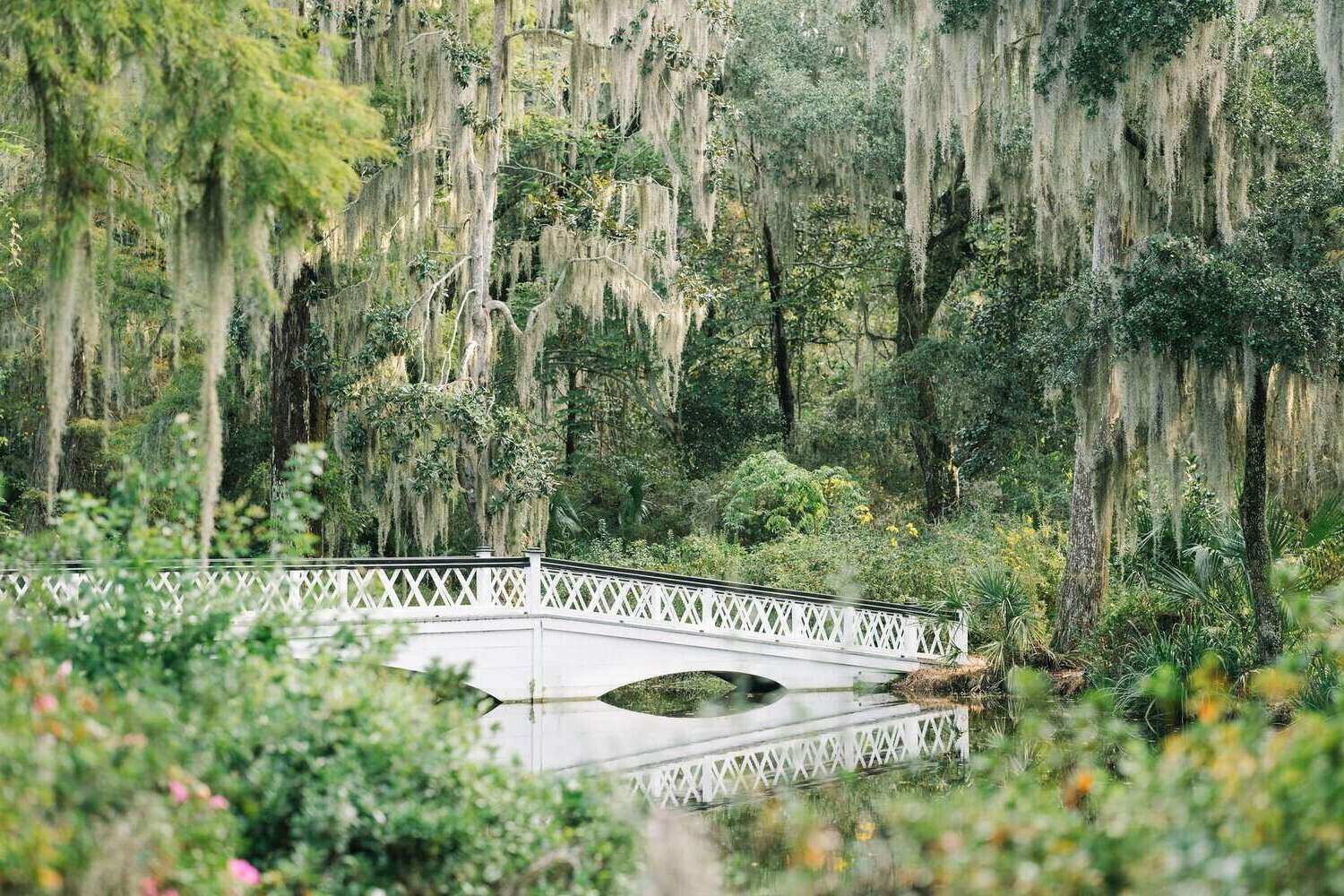 enchanting-romance-at-magnolia-gardens