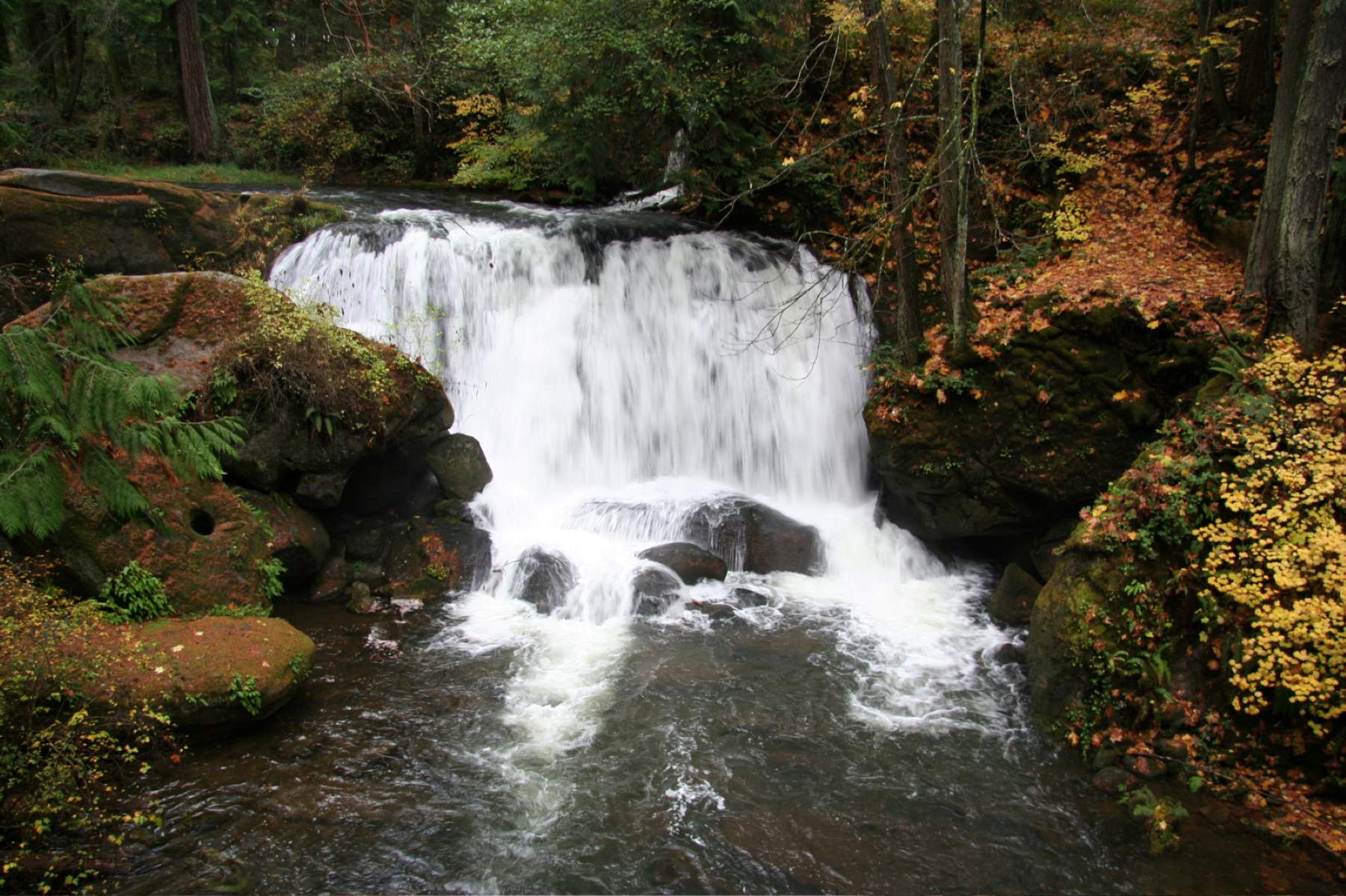 Enchanting-Trails-Await-At-Whatcom-Falls-Park enchanting-trails-await-at-whatcom-falls-park