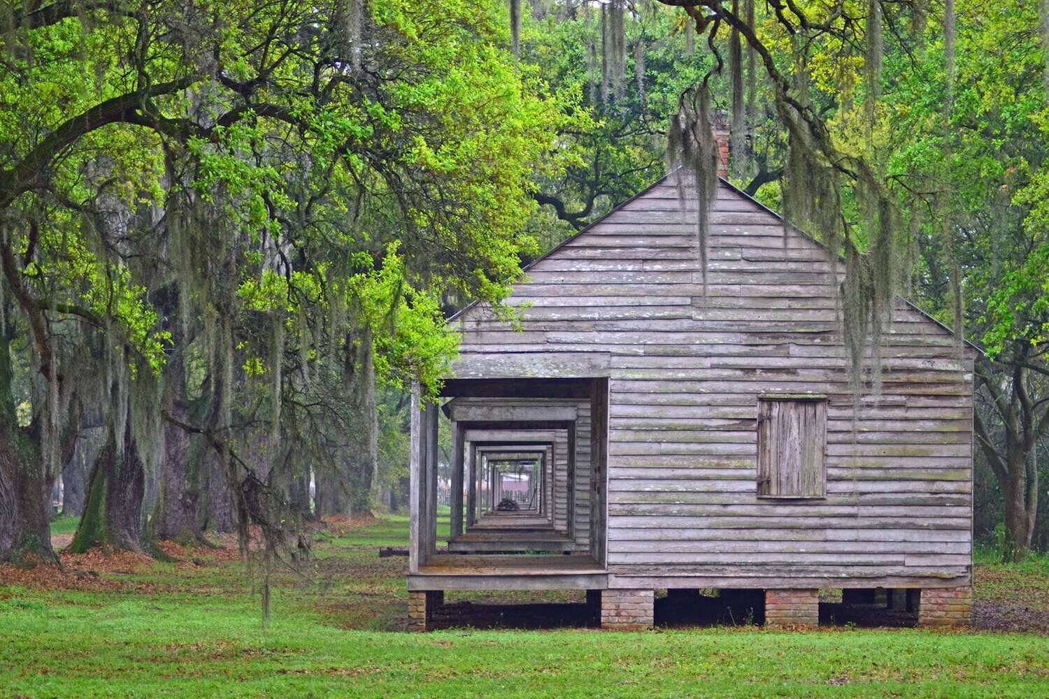 enchanting-wallaces-evergreen-plantation-awaits