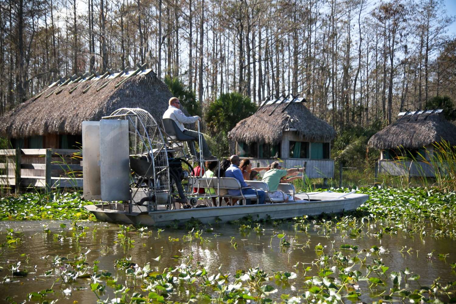 Everglades-Airboat-Tours-8211-Florida8217s-Wild-Wetlands everglades-airboat-tours-floridas-wild-wetlands